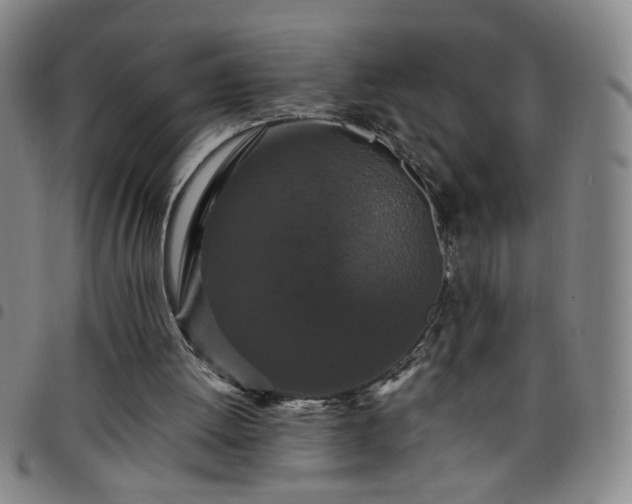 X0000098150052200804241749