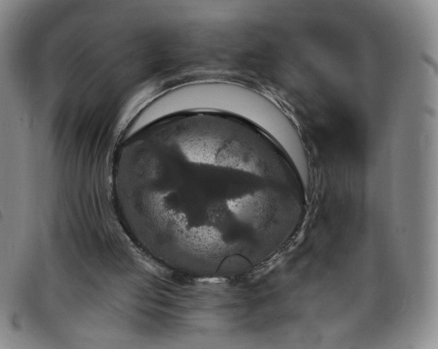 X0000098150053200804241749