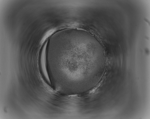 X0000098150054200804241749