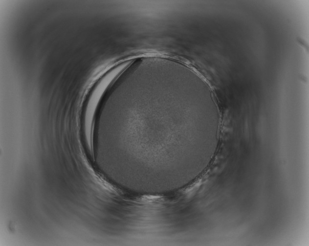 X0000098150055200804241750