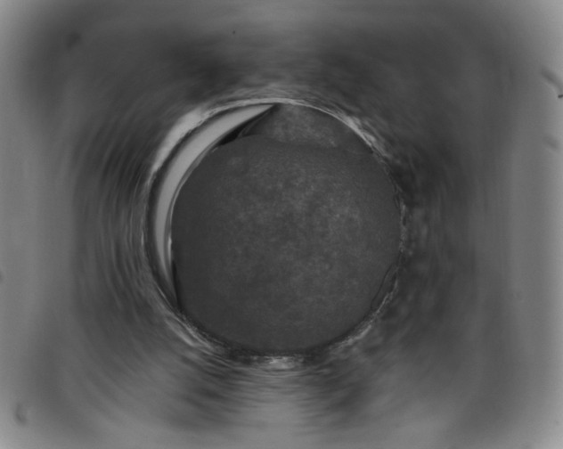 X0000098150056200804241750
