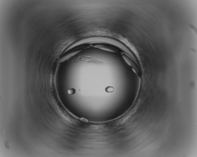 X0000098150057200804241750