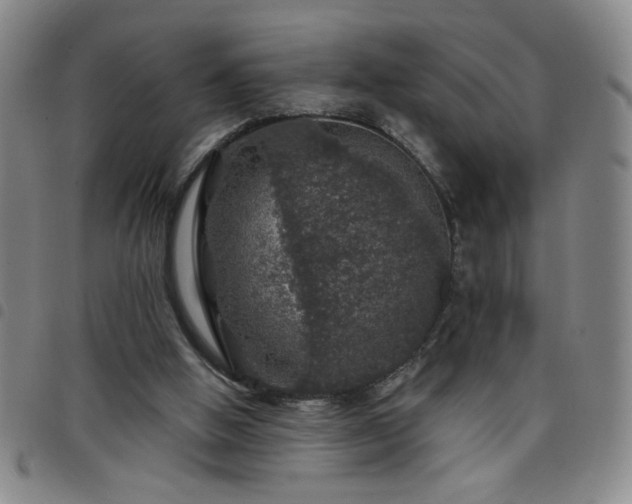 X0000098150058200804241750