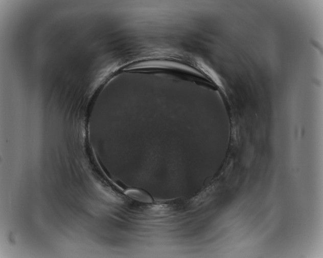 X0000098150059200804241750