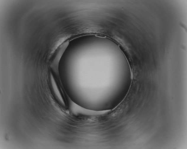 X0000098150060200804241750
