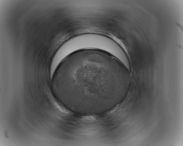 X0000098150061200804241750