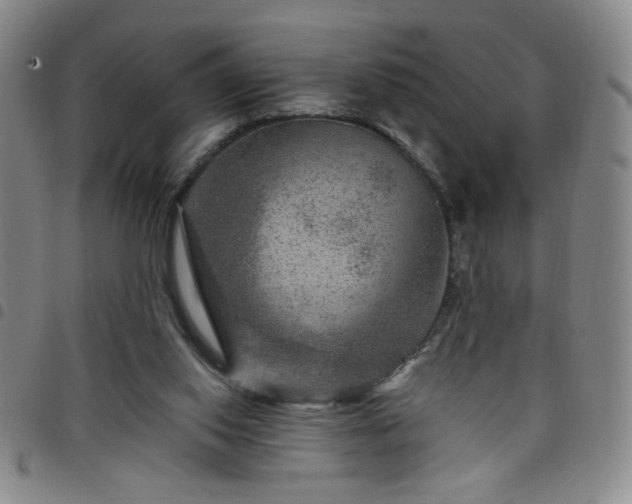 X0000098150062200804241750