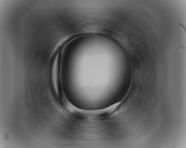 X0000098150064200804241750
