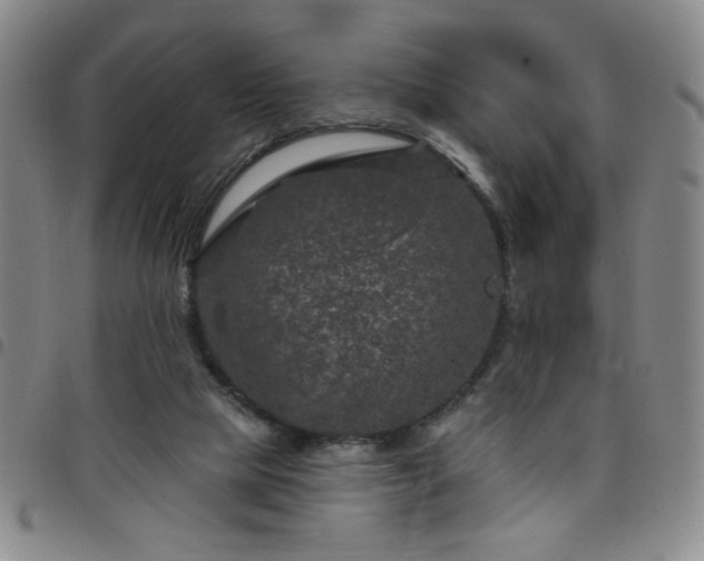 X0000098150065200804241750
