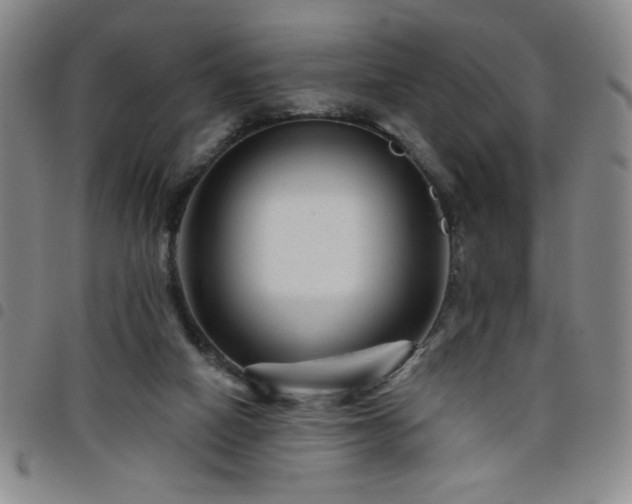 X0000098150066200804241750