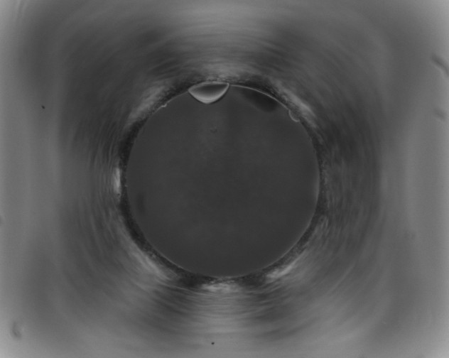 X0000098150067200804241750