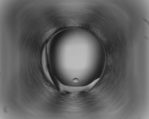 X0000098150068200804241750