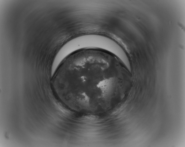 X0000098150069200804241750