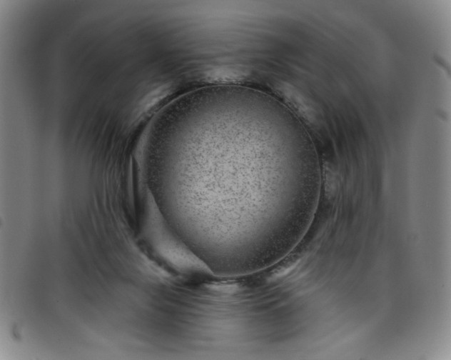 X0000098150071200804241750