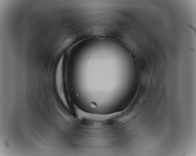 X0000098150072200804241750