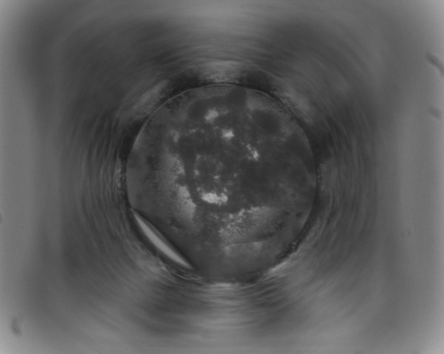 X0000098150073200804241750