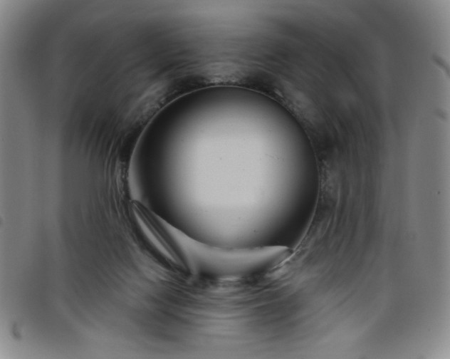 X0000098150074200804241750
