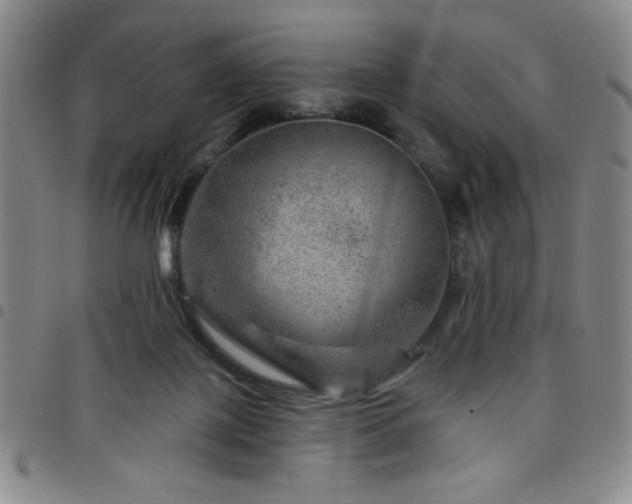 X0000098150075200804241750