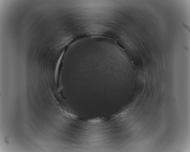 X0000098150076200804241750
