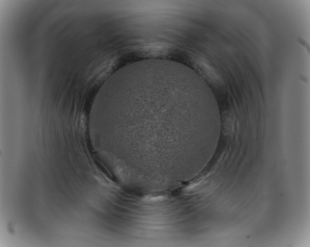 X0000098150077200804241750