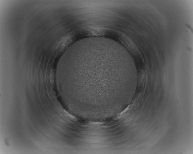 X0000098150078200804241750