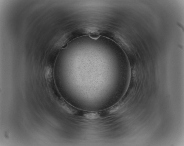 X0000098150079200804241750
