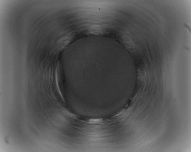 X0000098150080200804241750