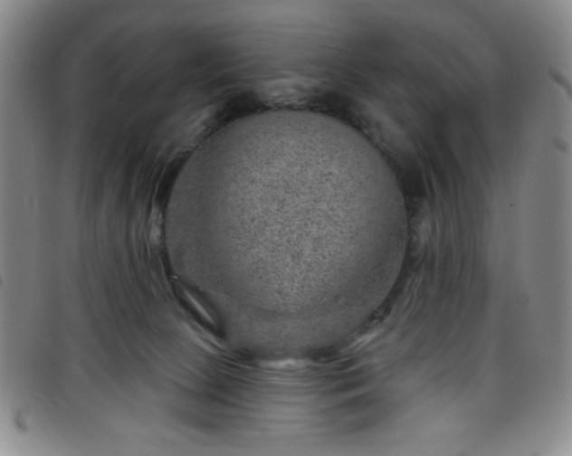 X0000098150081200804241750