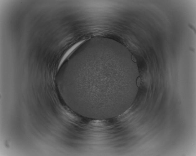 X0000098150082200804241750