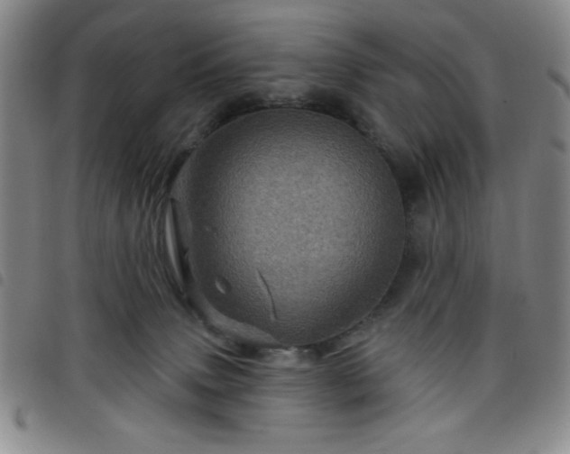 X0000098150083200804241750