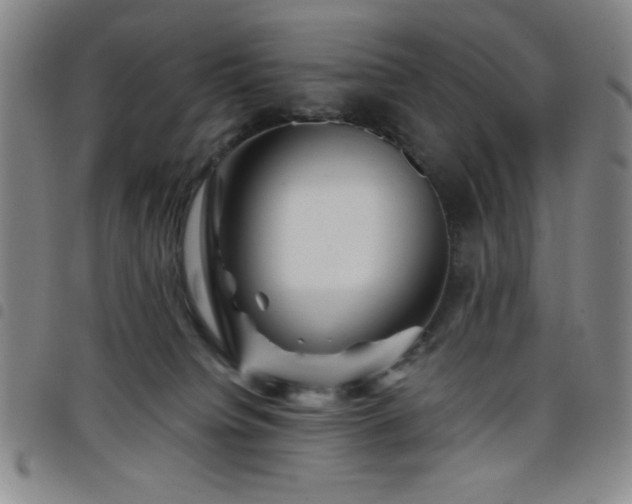 X0000098150084200804241750