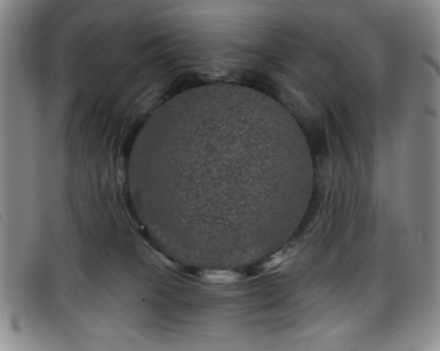 X0000098150085200804241750