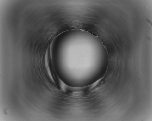 X0000098150088200804241750