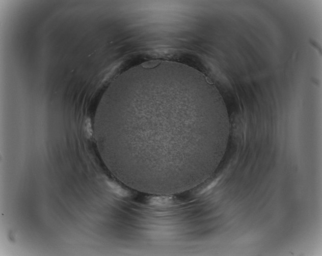 X0000098150089200804241750