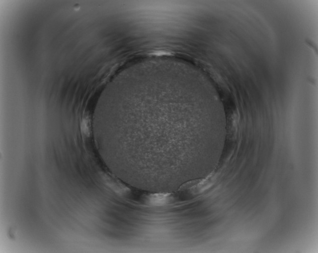 X0000098150090200804241750