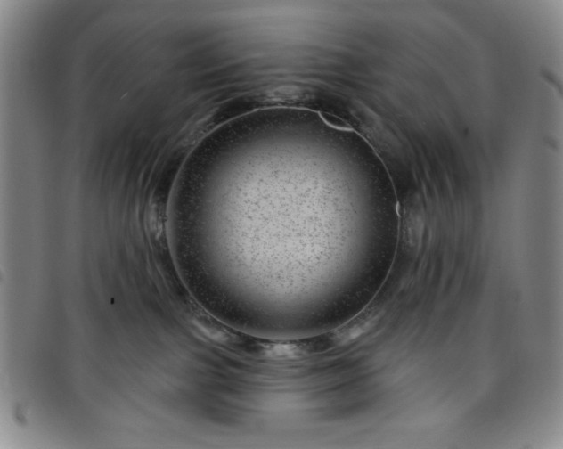 X0000098150091200804241750