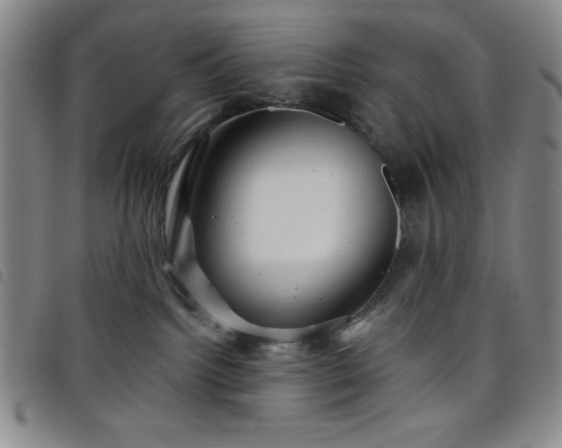 X0000098150092200804241750