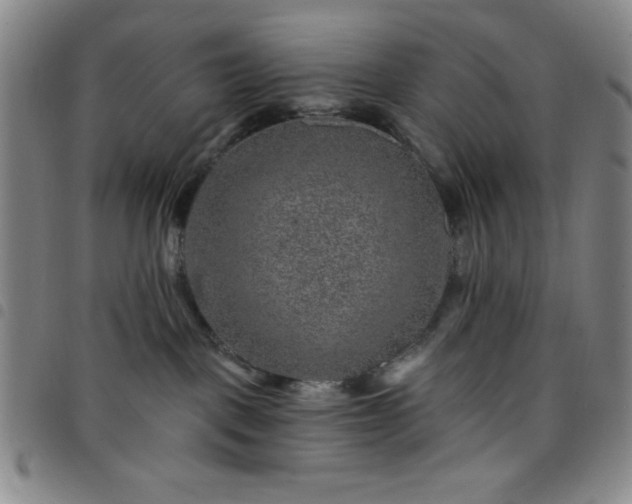 X0000098150093200804241750