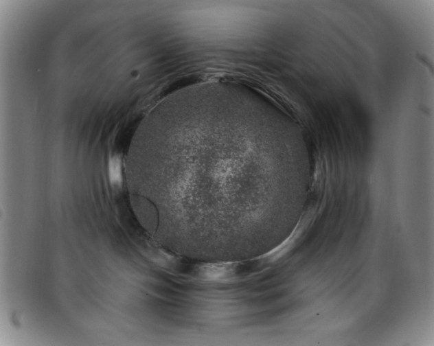 X0000098150094200804241750