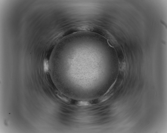 X0000098150095200804241750