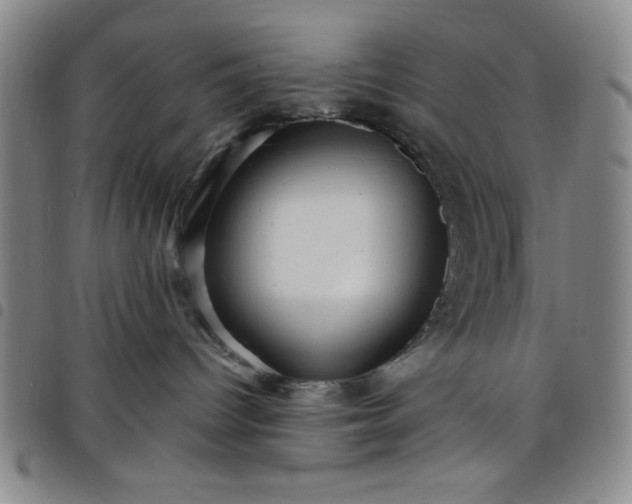 X0000098150096200804241750