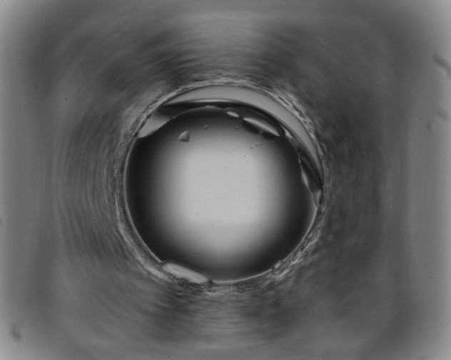 X0000098150097200804241749