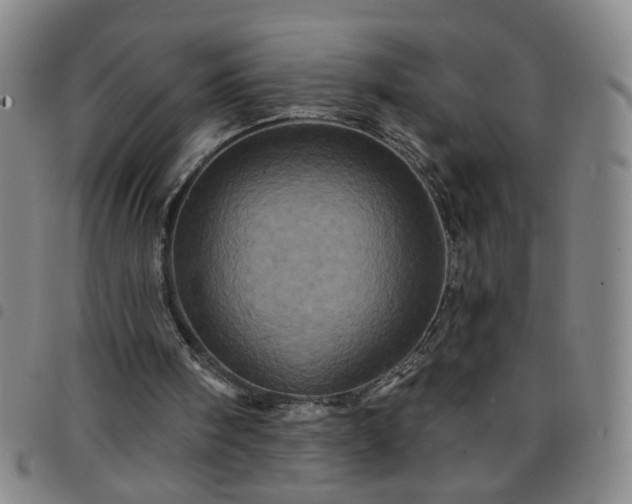 X0000098150098200804241749