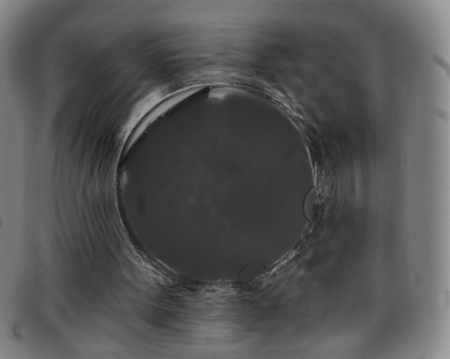 X0000098150099200804241749