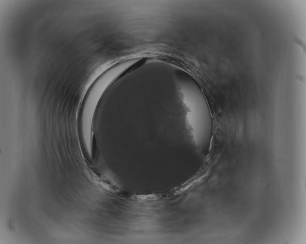 X0000098150100200804241749