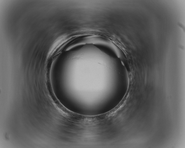X0000098150101200804241749