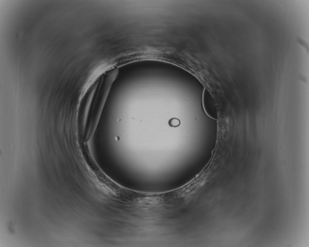 X0000098150102200804241749
