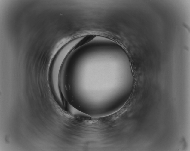 X0000098150104200804241749