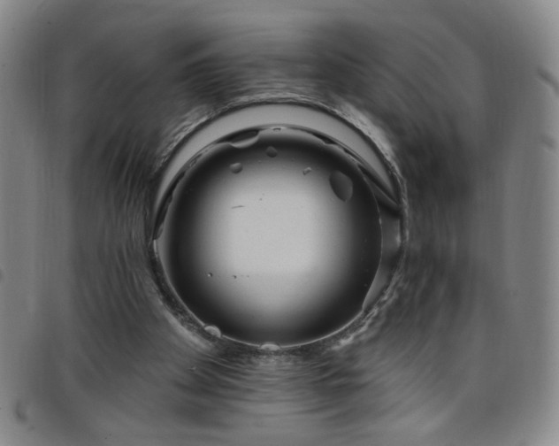X0000098150105200804241749