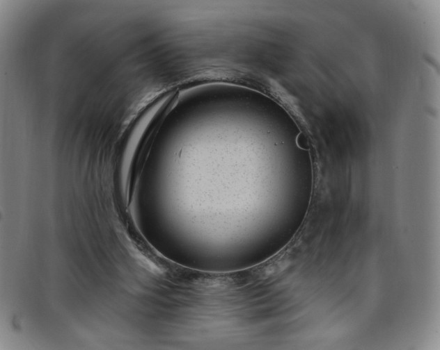 X0000098150106200804241749